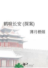 鹤唳长安(探案)